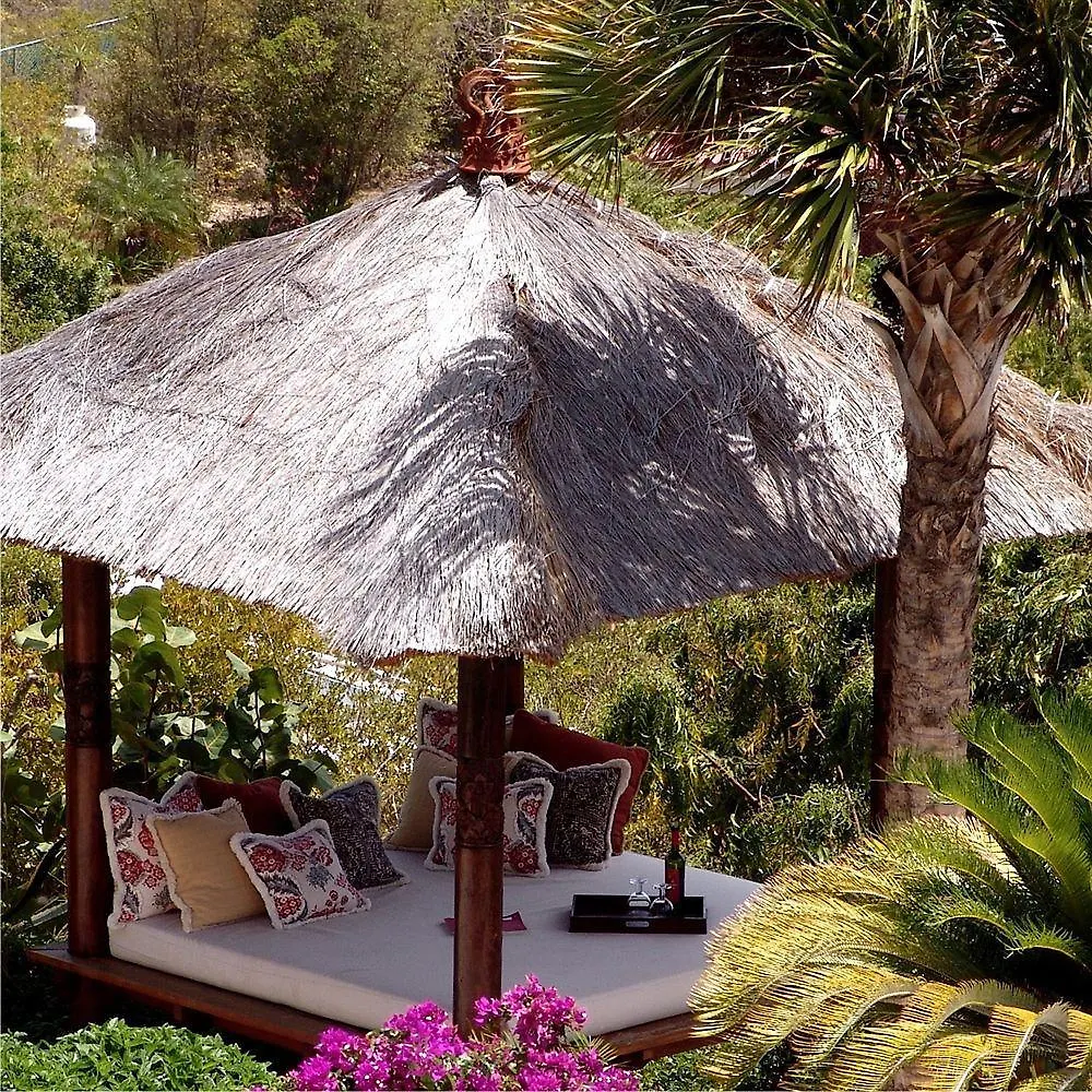 Anguilla'S Bird Of Paradise The Valley Hotel