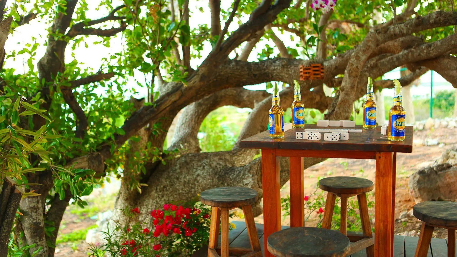 Anguilla'S Bird Of Paradise The Valley Hotel
