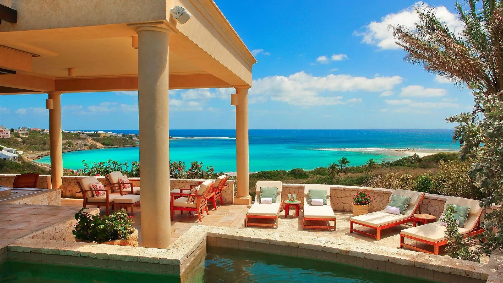 Anguilla'S Bird Of Paradise The Valley